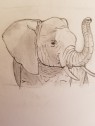 Elephant - Elijah Jones